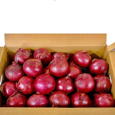  ܂˂ A[[bh 10kg MTCY kC kY  xǖY ԋʂ˂ 1(1P[X) Ԃ ʂ˂  ʂ˂/^}lM/ʔK 