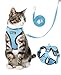 AlxMuNao 猫 猫用 ハーネス 脱走防止 リード付き ベスト型 頭を通さず装着 通気メッシュ 軽量 反射付き 調節可能 子猫〜成猫 散歩 通院 お出かけ