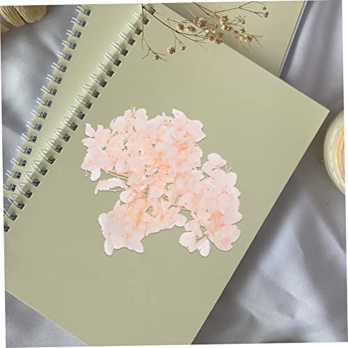 Set de flores prensadas secas para manualidades miniatura 3