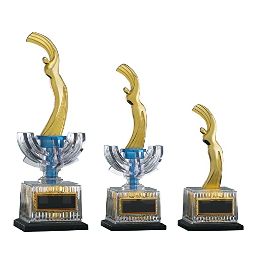 [[U[] GOLD SHACHI \uY gtB[ St B4054 BTCY(25cm d350g)(H-1) 