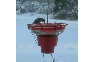 Backyard Bird Centre Hummer Hearth: The Warm Hummingbird Feeder Essential