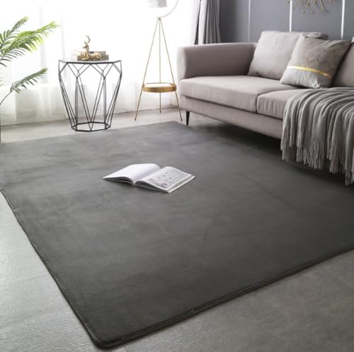 Qfmrじゅうたんです現代のシンプルなサンゴの絨毯リビングルームの寝室ベッドサイドのクッション快適な耐汚滑り止めマット水洗いが可能です (200*230m,ダークグレー)