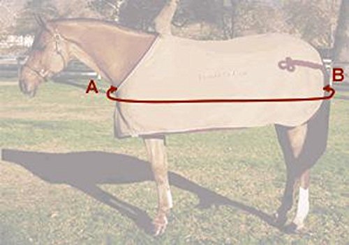 1680D Turnout Horse Winter Waterproof - Horse Blanket 007 (75") #TOP4