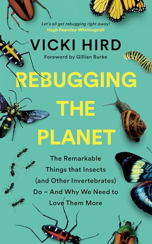 Rebugging the Planet view 2