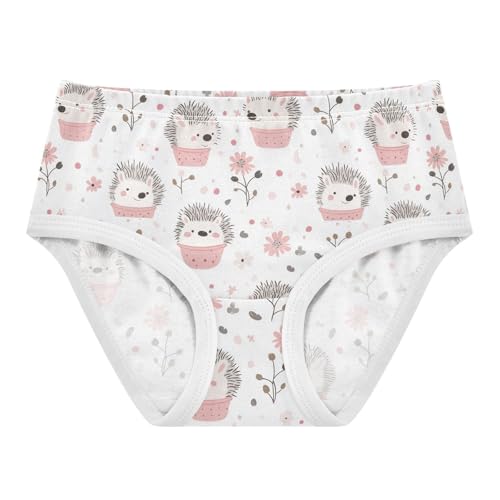Girls Underwear Soft Cotton Hedgehog Kids Panties in Sizes 2/3t, 4t, 5t, 6 and 8 - Main Image