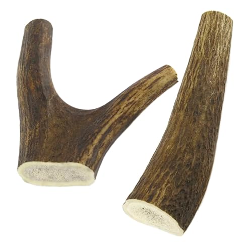 ARTISAN GIFT CO Corno di Cervo per Cani, Osso per cani da Masticare 100% Naturale, peso minimo Confezione 100gr. (S - 2 pz.)