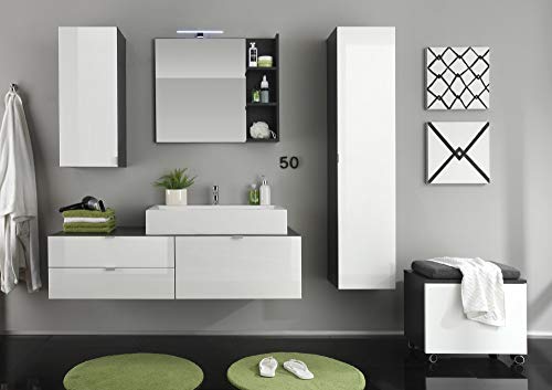 Furnline Beach High Gloss Bathroom Wall Mounted Cupboard, Grey Furnline Beach High Gloss Bathroom Wall Mounted Cupboard, Grey