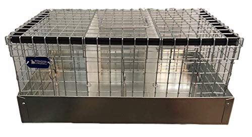 All Things Bunnies 3 Hole Cavy/Chinchilla Carrier/Transport Cage