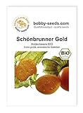 Bobby-Seeds BIO-Samen Andenbeere Schönbrunner Gold Portion
