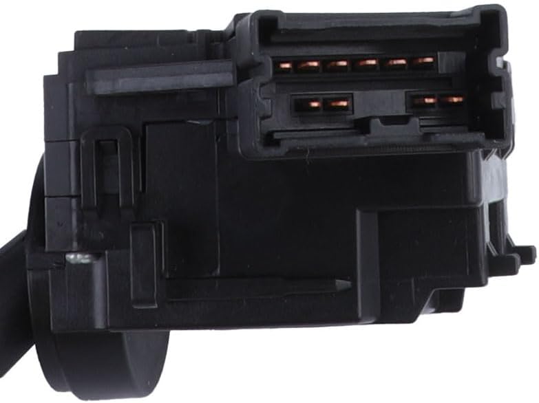 専用希少❣️Melastoma sp. Sibolgaメラストマ シボルガソネリラ