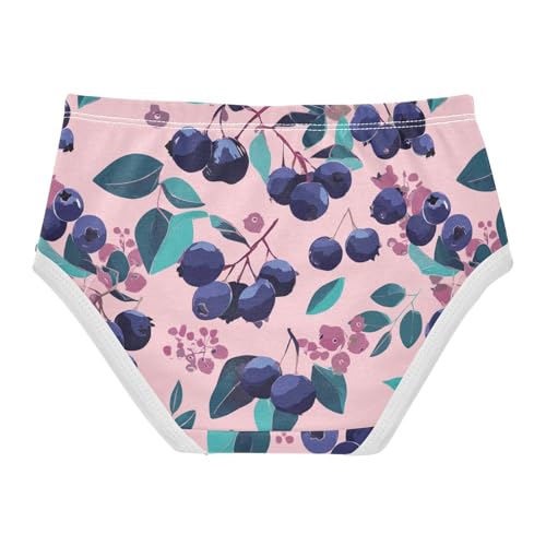 Wusikd Blueberries Girls' Underwear Cotton Girls Briefs Soft Toddler Underwear 2T2