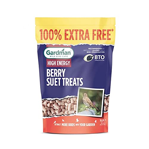 Gardman Berry Wild Bird Food Suet Treats 500g + 100% Extra Free, Green