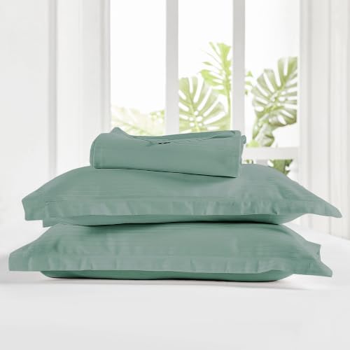 Image of myTrident Bedsheet for Double Bed King Size | 108 inch x 108 inch | Cedar