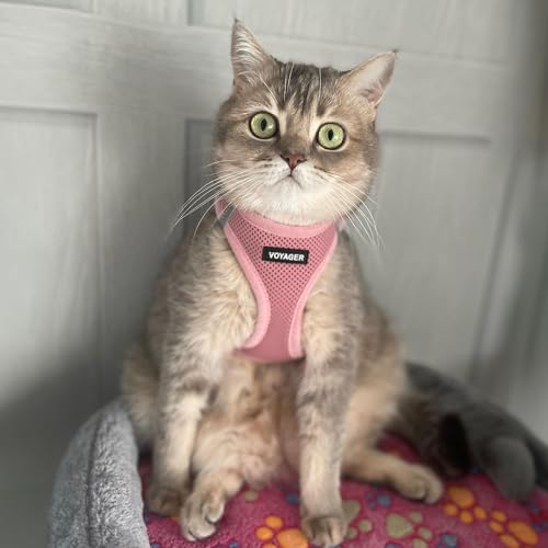 Voyager Step-In Air Mesh Harness & Leash Set (Pink, XS) — view 8