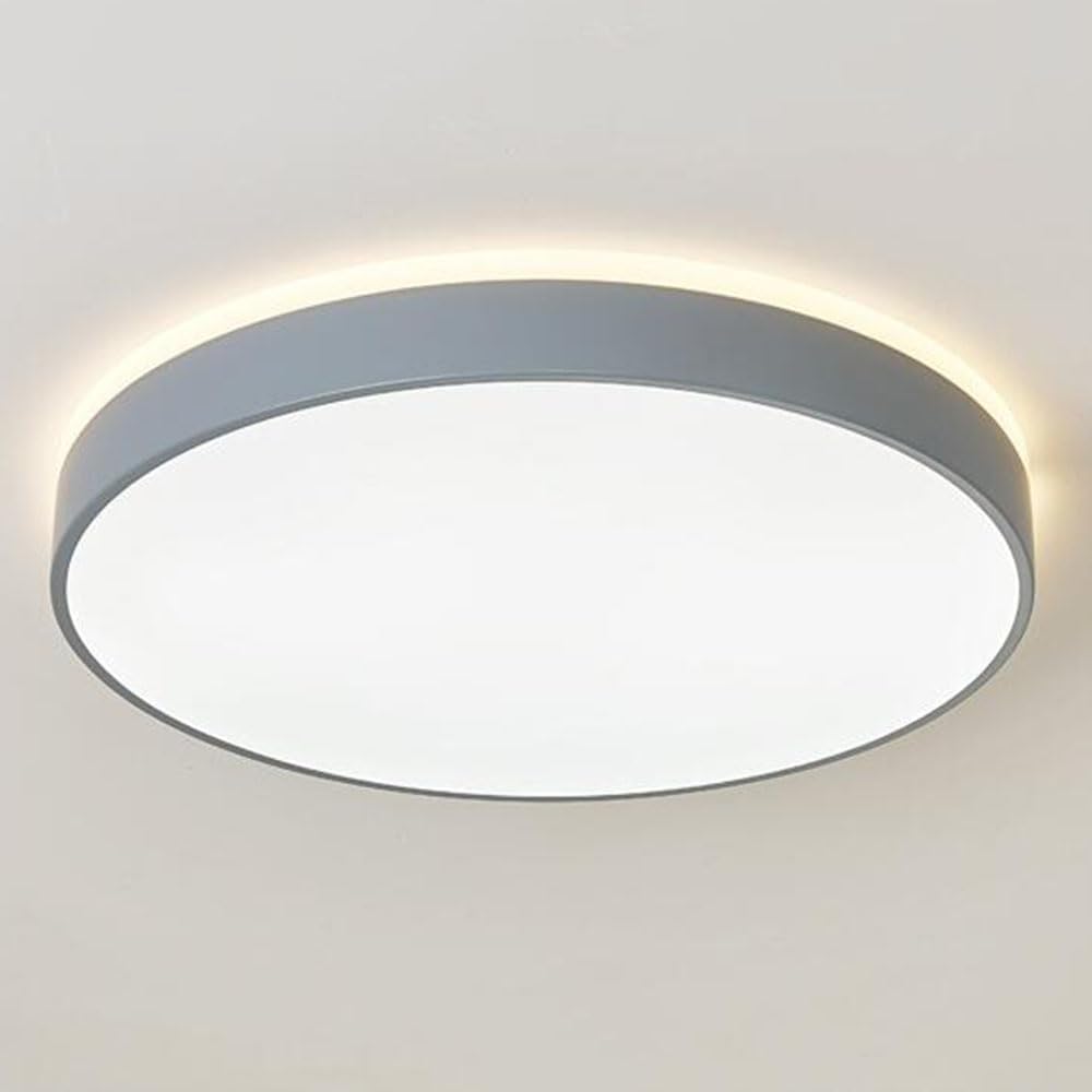 Nordic Stepless Dimming Ceiling Light Super Bright Colorful Ceiling Lighting Fixtures Postmodern Acrylic Ceiling Lamps Easy to Install Flat Ceiling Lamp for Bedroom Kitchen Living Room(Gr/Wh