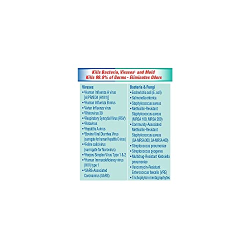 Clorox Disinfecting Spray, Fresh Scent, Industrial Cleaning And Disinfectant Spray, 19-Ounce Bottles, (Pack Of 12) - 38504 #TOP4