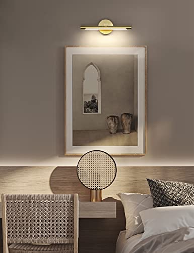 Jusheng Led Picture Lights For Wall 16.54'' Inch, Gold Picture Frame Light Hardwired Led Gallery Lights Art Display Light For Paintings Artwork Sconces Lamps 9W 3000K Warm White 110V Ac #TOP2