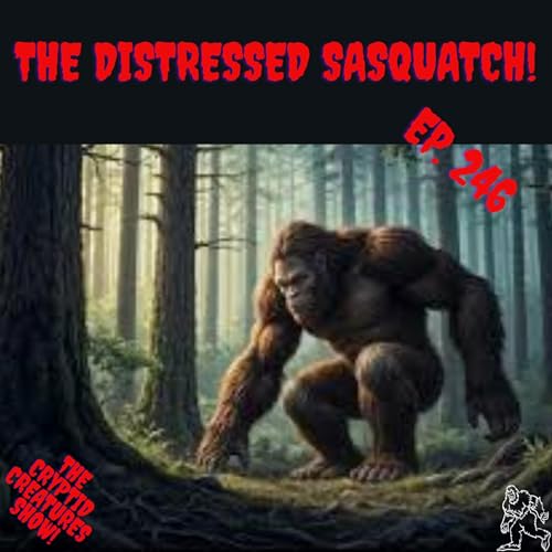 Page de couverture de The Distressed Sasquatch! EP. 246