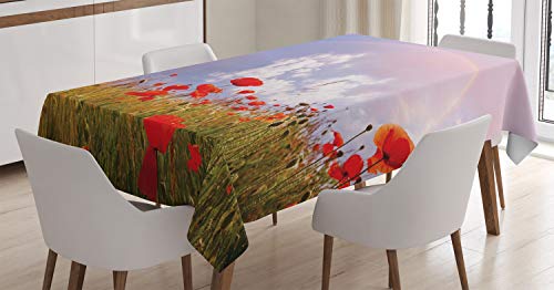 ABAKUHAUS Coquelicot Nappe, Poppy Flowers Meadow, Linge de Table Rectangulaire pour Salle à Manger Décor de Cuisine, 140 cm x 240 cm, Rouge Vert Bleu