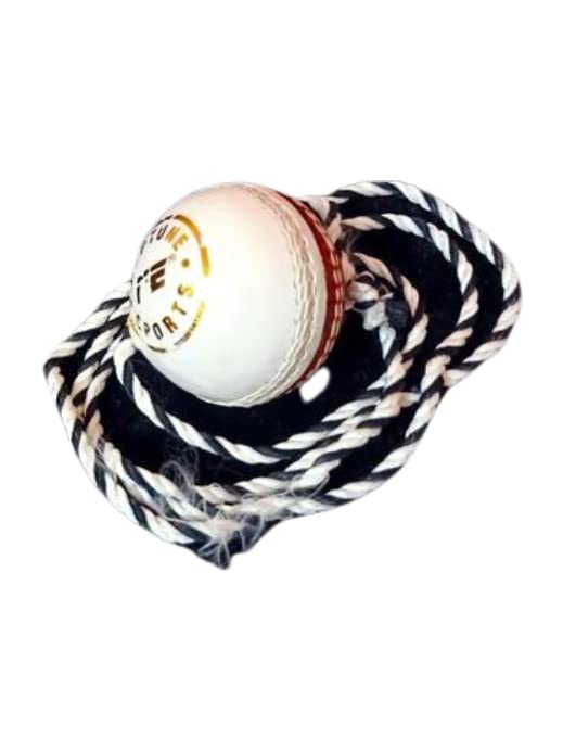 NE NEPTUNE Leather Cricket Shot Practice Hanging Ball, Silk String Cricket Ball and Knocking Cricket Ball with Rope, RED & White (Pack of 1) (B0B88MVVC3) Amazon Price History, Amazon Price Tracker