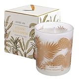 ROMIIE ZOI Scented Candle - Pineapple - 6oz Soy Wax Candle for Home, Gifts for Women