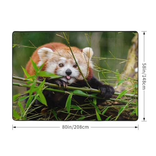 Tapis lavable et antidérapant pour chambre d'enfant sans taches