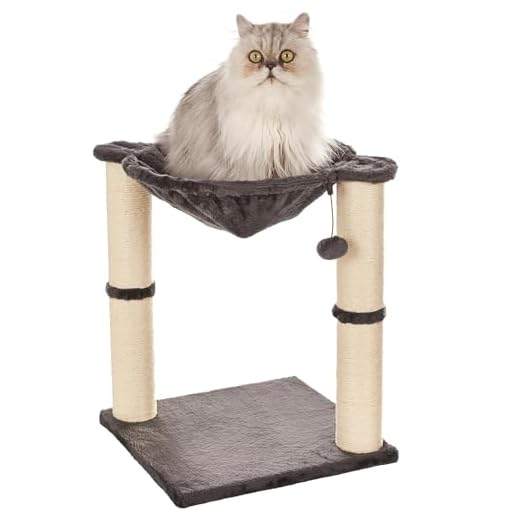 AmazonBasics Cat Condo Tree Tower With Hammock Bed And Scratching Post, 16 x 20 x 16 Inches, Gray