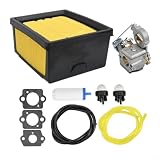 Kit Carburatore K750 K760 K770 con Filtro Kit Carburatore K750