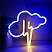 Neon Night Light,Cloud Lightning Neon Sign,USB or Battery Powered Neon Wall Decoration,for Bedroom,Kids Room,Living Room,Bar,Party,Christmas,Wedding Decoration (Style 3)
