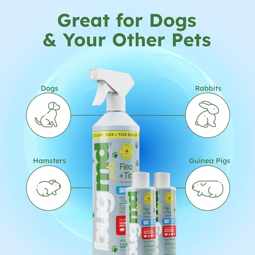 Image of BugMD Flea and Tick Concentrate (3.7 oz, 2 Pack) - Essential Oil Formula for Dogs, Controls Fleas, Ticks & Mites, Safe for Pet Beds, Kennels & Home Use