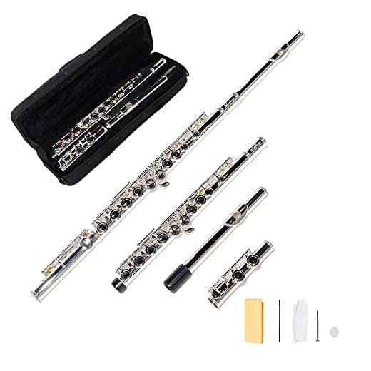 LeSage Flutes Closed Hole C Silver Plated 16 Key Student Flute for Kids Beginner Starter with Flute Case Maintenance Kit Cleaning Cloth C Foot Offset G Y-arm