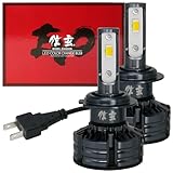 信玄 LEDバルブ カラーチェンジバルブ EVO ストロボ機能付 H7 実測値21500cd フォグ