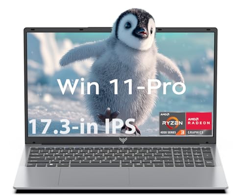 KAIGERR �m�[�g�p�\�R�� AMD Ryzen 3 4300U 17.3�C���` (Beat R5-3500U) 16GB DDR4 512GB SSD�AWindows�m�[�g�p�\�R�� Ordinateur-Portable AMD�m�[�g�p�\�R���A�e���L�[
