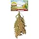 JR FARM Birds Rispenhirse 100 g