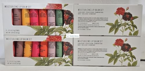 Trader Joe's Moisturizing Lip Balm 6 Tubes Set 0.78oz 22.2g (Four Boxes) image 4