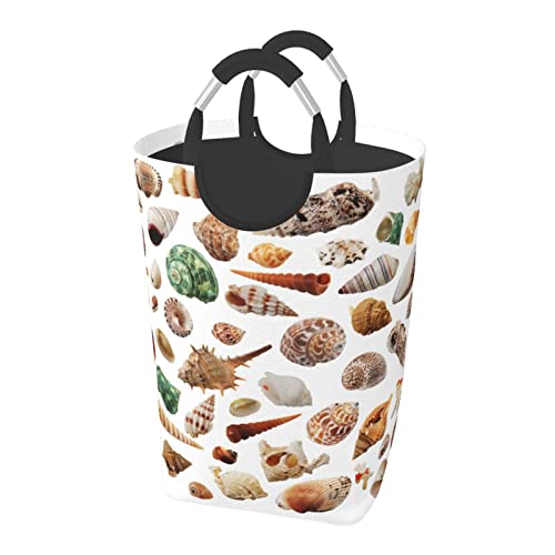 C bg nht 󂩂  [I[KiCU[ ܂肽ݎoPc  ꂽߗރobO  oX[ Q p