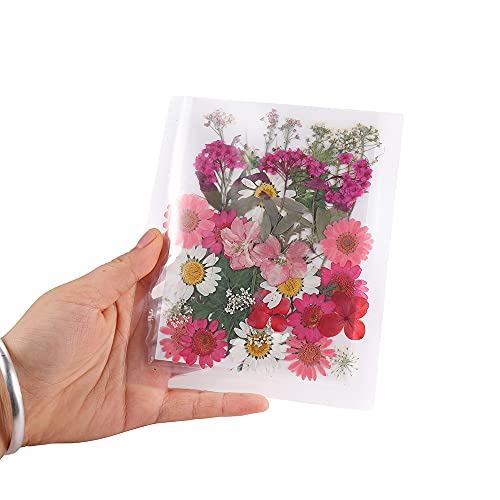 Flores secas para resina DIY 1 bolsa para manualidades miniatura 3