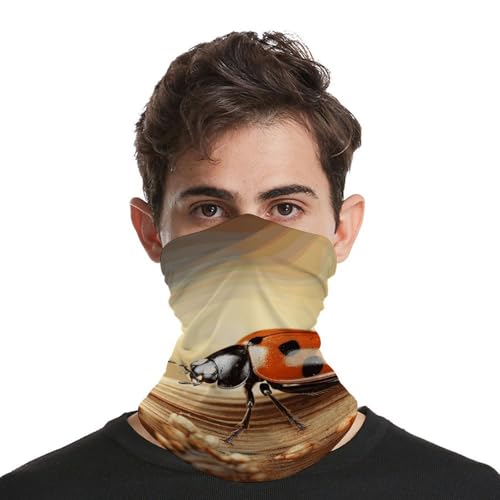 Women's Day Greeting Card Neck Gaiter Face Cover Scarf, Breathable Sun Balaclava for Skiing Fishing Hiking Cycling4