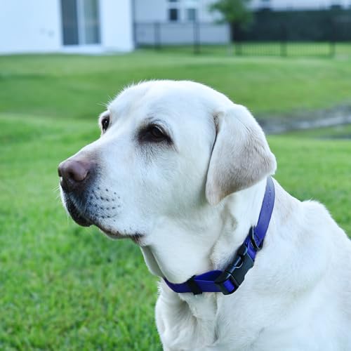 Image of Dogline Biothane Waterproof Dog Collar with Quick Release Buckle Strong Coated Nylon Webbing with Odor- Proof for Easy Care Easy to Clean Fits Small Medium Large Dogs, Royal Blue 5 /8 inch W 9-14 inch L