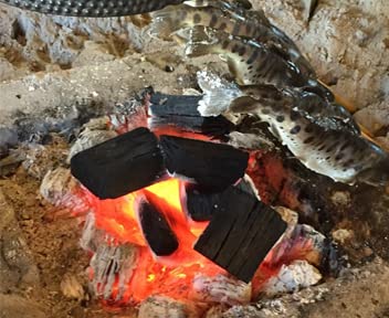 Amazon.co.jp: 木炭 炭 なら切炭 ナラ切炭 楢 なら 切炭 岩手県久慈市