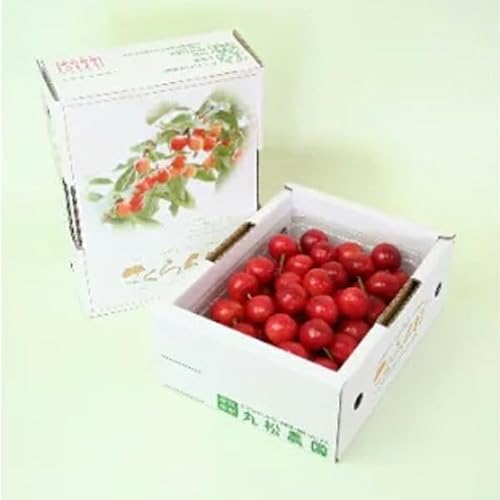 [先行予約] さくらんぼ 佐藤錦 秀品 L玉 500g バラ詰 2026年産 令和8年産 山形県産[2026年6月上旬~6月下旬頃順次発送]※沖縄・離島への配送不可 mm-snbax500