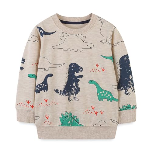 Boys Sweatshirts Long Sleeve Sweatshirts T-shirts Crew Neck Cotton Casual Sweatshirts Cartoon Tops for Boys-36 - Main Image