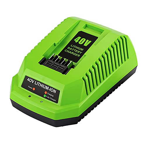 ENERGUP 40V Chargeur pour Greenworks Chargeur 40V G40C pour Greenworks Batterie