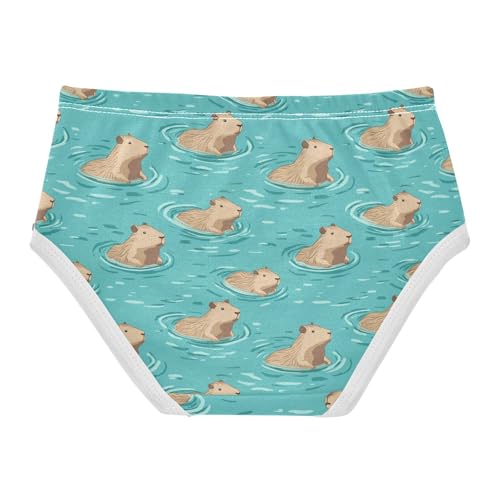Girls Underwear Soft Cotton Capybara Kids Panties in Sizes 2/3t, 4t, 5t, 6 and 82