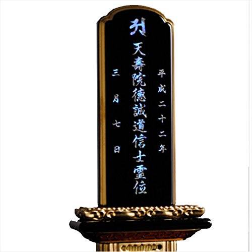 �������u�����h�F�ʔv�F���F�ɋP�����؂Ȉʔv�����y���핗���������F�s�����ʕ����������z