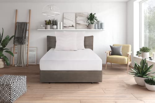 Traumnacht Komfort Kopfkissen mit Bezug aus reiner Baumwolle, Öko-Tex zertifiziertes Kopfkissen mit Reißverschluss, Doppelpack 50x50 cm, entwickelt in Deutschland