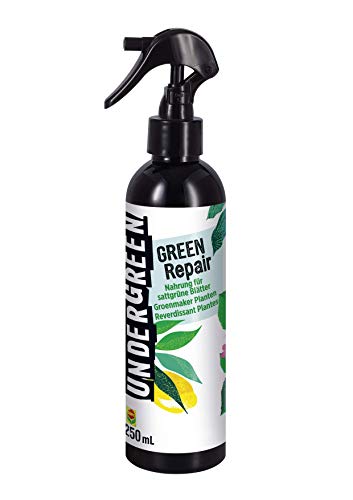 Undergreen by Compo Green Repair, Futter für kräftige, sattgrüne Blätter, Anti-Chlorose-Spray, Bio, Sprühflasche, 250 ml, Nicht Zutreffend