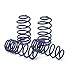 H&R 29569-1 - 1.5" x 1.3" Sport Front and Rear Lowering Coil Springs