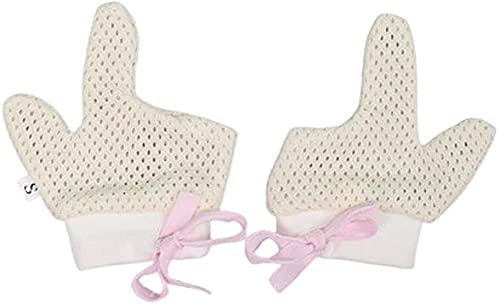  тԂ h~ wԂ h~ ܊ тԂ,h~wԂ, 2Zbg TbLO Xgbv Ԃ ewԂ苸 _uC[ _炩z  wԂ wԂʋC  wԂdw? 