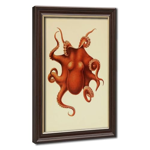 Poster Octopus Ewald Rubsamen : sublimez un mur vide sans effort de cadre